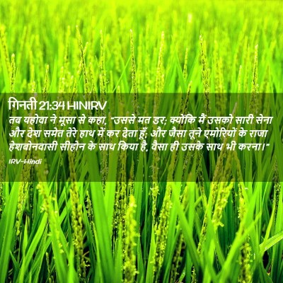 Picture 02 - गिनती 21:34 HINIRV - तब यहोवा ने मूसा से - Bible Verse Picture