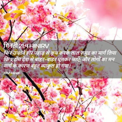 Picture 02 - गिनती 21:4 HINIRV - फिर उन्होंने होर - Bible Verse Picture