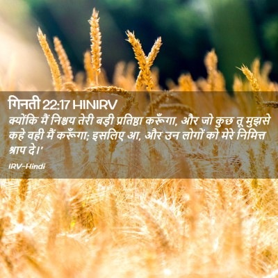 Picture 02 - गिनती 22:17 HINIRV - क्योंकि मैं - Bible Verse Picture