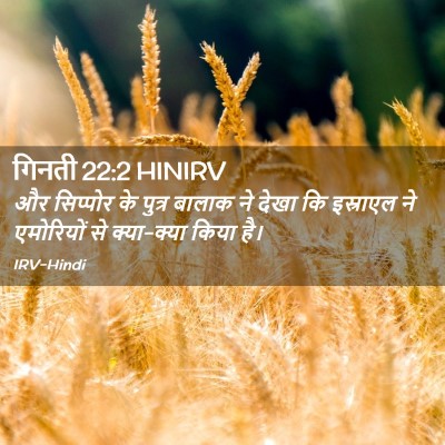 Picture 02 - गिनती 22:2 HINIRV - और सिप्पोर के - Bible Verse Picture