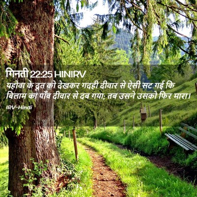 Picture 02 - गिनती 22:25 HINIRV - यहोवा के दूत को - Bible Verse Picture