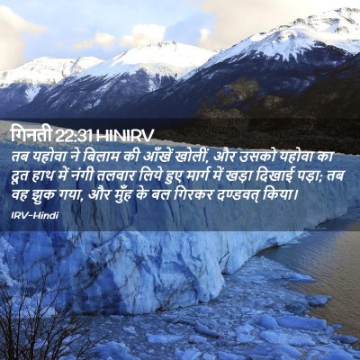 Picture 02 - गिनती 22:31 HINIRV - तब यहोवा ने बिलाम - Bible Verse Picture