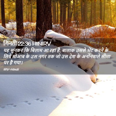 Picture 02 - गिनती 22:36 HINIRV - यह सुनकर कि बिलाम आ - Bible Verse Picture