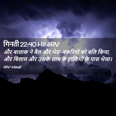 Picture 02 - गिनती 22:40 HINIRV - और बालाक ने बैल और - Bible Verse Picture