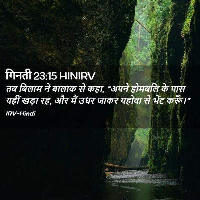 Picture 02 - गिनती 23:15 HINIRV - तब बिलाम ने बालाक - Bible Verse Picture