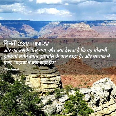 Picture 02 - गिनती 23:17 HINIRV - और वह उसके पास गया, - Bible Verse Picture