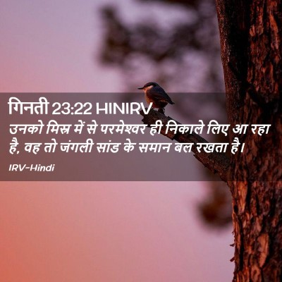 Picture 02 - गिनती 23:22 HINIRV - उनको मिस्र में से - Bible Verse Picture