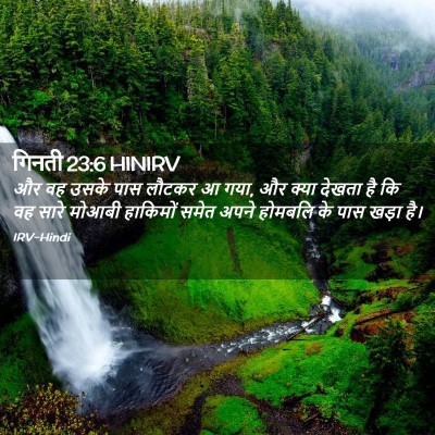 Picture 02 - गिनती 23:6 HINIRV - और वह उसके पास - Bible Verse Picture