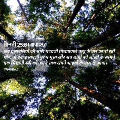 Picture 02 - गिनती 25:6 HINIRV - जब इस्राएलियों की - Bible Verse Picture
