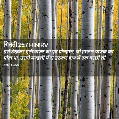 Picture 02 - गिनती 25:7 HINIRV - इसे देखकर एलीआजर - Bible Verse Picture
