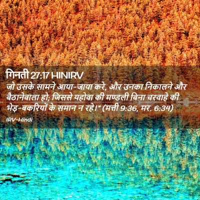 Picture 02 - गिनती 27:17 HINIRV - जो उसके सामने - Bible Verse Picture