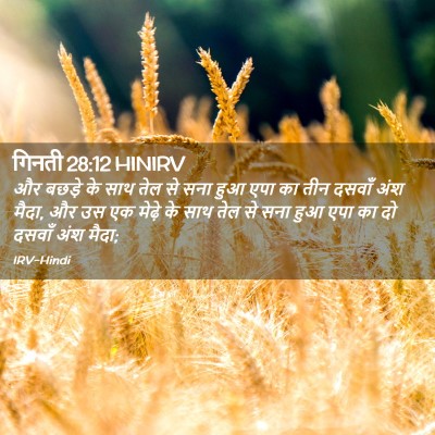 Picture 02 - गिनती 28:12 HINIRV - और बछड़े के साथ तेल - Bible Verse Picture