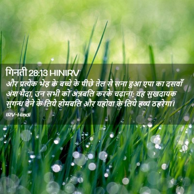 Picture 02 - गिनती 28:13 HINIRV - और प्रत्येक भेड़ - Bible Verse Picture