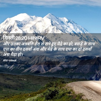 Picture 02 - गिनती 28:20 HINIRV - और उनका अन्नबलि - Bible Verse Picture