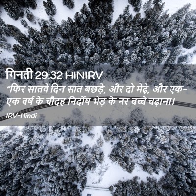 Picture 02 - गिनती 29:32 HINIRV - “फिर सातवें दिन - Bible Verse Picture