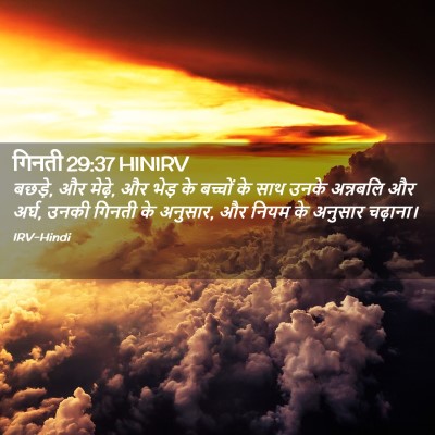 Picture 02 - गिनती 29:37 HINIRV - बछड़े, और मेढ़े, और - Bible Verse Picture