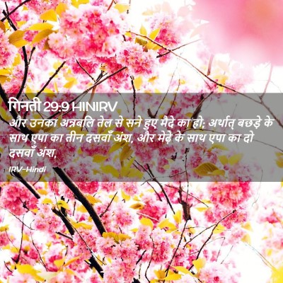 Picture 02 - गिनती 29:9 HINIRV - और उनका अन्नबलि - Bible Verse Picture