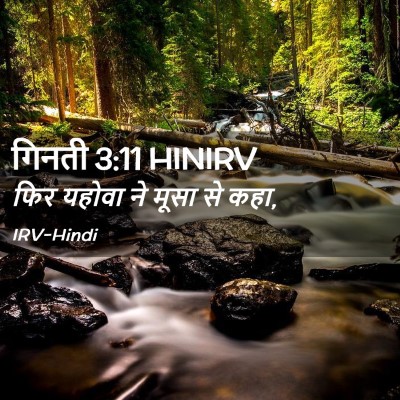 Picture 02 - गिनती 3:11 HINIRV - फिर यहोवा ने मूसा - Bible Verse Picture