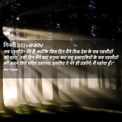 Picture 02 - गिनती 3:13 HINIRV - सब पहलौठे* मेरे - Bible Verse Picture