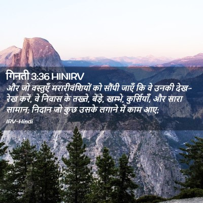 Picture 02 - गिनती 3:36 HINIRV - और जो वस्तुएँ - Bible Verse Picture