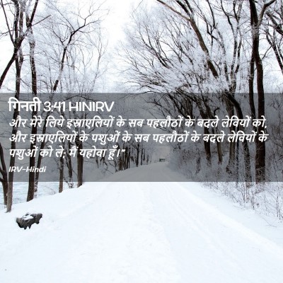 Picture 02 - गिनती 3:41 HINIRV - और मेरे लिये - Bible Verse Picture