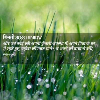 Picture 02 - गिनती 30:3 HINIRV - और जब कोई स्त्री - Bible Verse Picture