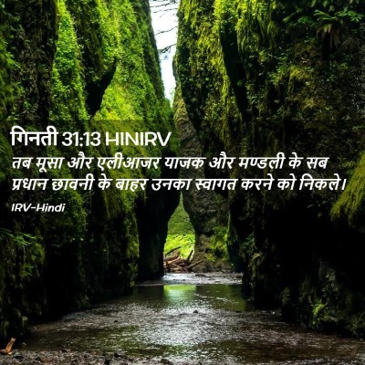 Picture 02 - गिनती 31:13 HINIRV - तब मूसा और एलीआजर - Bible Verse Picture