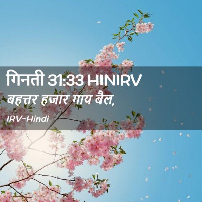 Picture 02 - गिनती 31:33 HINIRV - बहत्तर हजार गाय - Bible Verse Picture