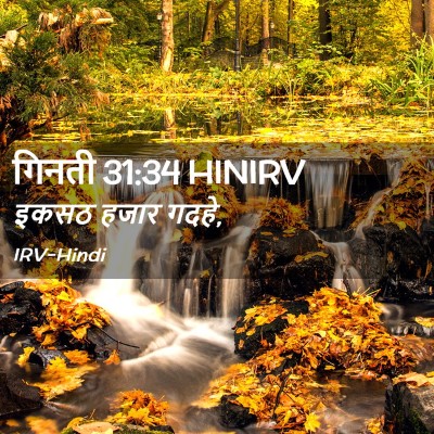 Picture 02 - गिनती 31:34 HINIRV - इकसठ हजार - Bible Verse Picture