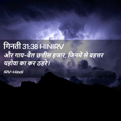 Picture 02 - गिनती 31:38 HINIRV - और गाय-बैल छत्तीस - Bible Verse Picture