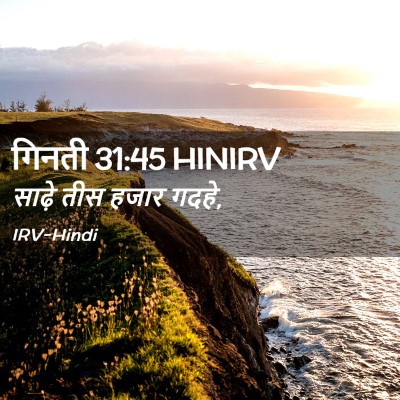 Picture 02 - गिनती 31:45 HINIRV - साढ़े तीस हजार - Bible Verse Picture