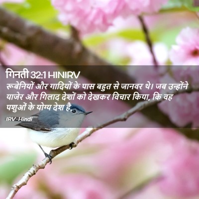 Picture 02 - गिनती 32:1 HINIRV - रूबेनियों और - Bible Verse Picture