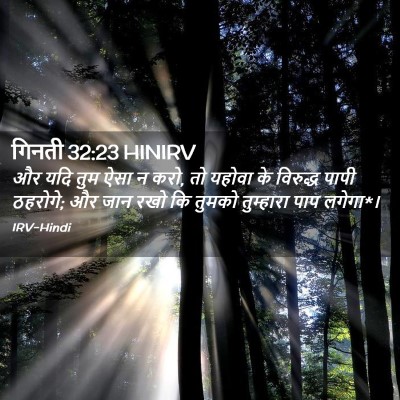 Picture 02 - गिनती 32:23 HINIRV - और यदि तुम ऐसा न - Bible Verse Picture