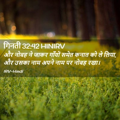 Picture 02 - गिनती 32:42 HINIRV - और नोबह ने जाकर - Bible Verse Picture