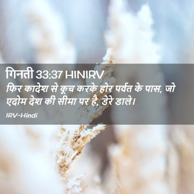 Picture 02 - गिनती 33:37 HINIRV - फिर कादेश से कूच - Bible Verse Picture