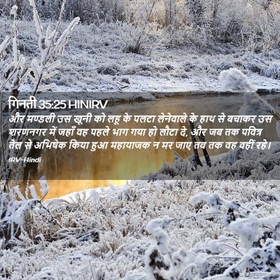 Picture 02 - गिनती 35:25 HINIRV - और मण्डली उस खूनी - Bible Verse Picture
