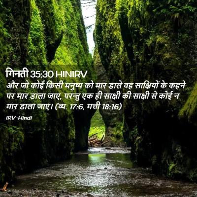 Picture 02 - गिनती 35:30 HINIRV - और जो कोई किसी - Bible Verse Picture