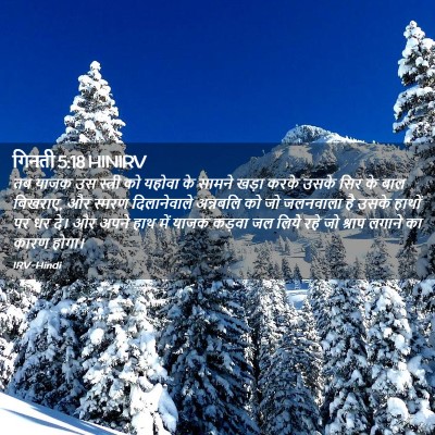 Picture 02 - गिनती 5:18 HINIRV - तब याजक उस स्त्री - Bible Verse Picture