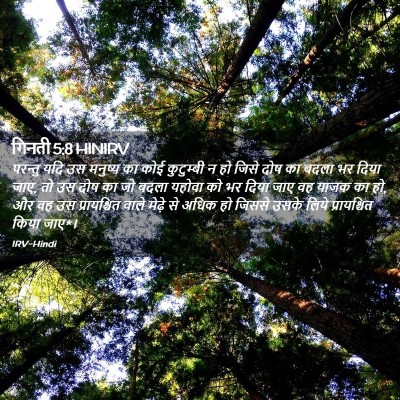 Picture 02 - गिनती 5:8 HINIRV - परन्तु यदि उस - Bible Verse Picture