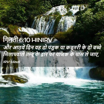 Picture 02 - गिनती 6:10 HINIRV - और आठवें दिन वह दो - Bible Verse Picture
