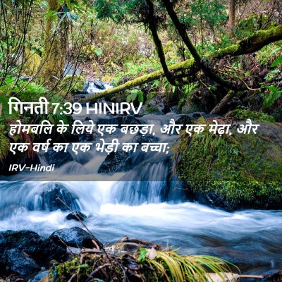 Picture 02 - गिनती 7:39 HINIRV - होमबलि के लिये एक - Bible Verse Picture