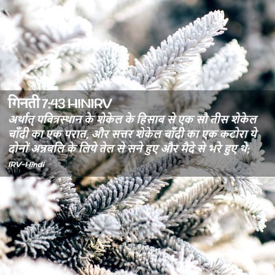 Picture 02 - गिनती 7:43 HINIRV - अर्थात् - Bible Verse Picture