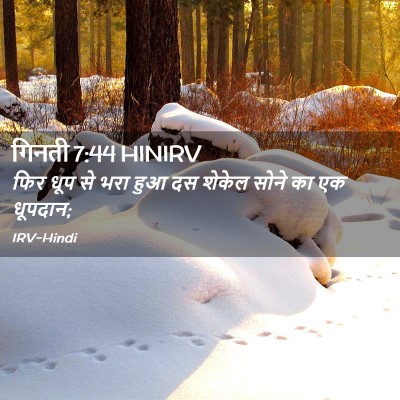 Picture 02 - गिनती 7:44 HINIRV - फिर धूप से भरा हुआ - Bible Verse Picture