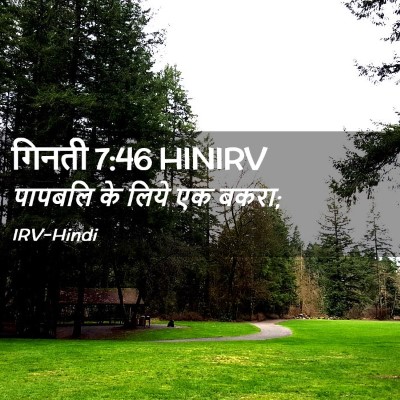 Picture 02 - गिनती 7:46 HINIRV - पापबलि के लिये एक - Bible Verse Picture