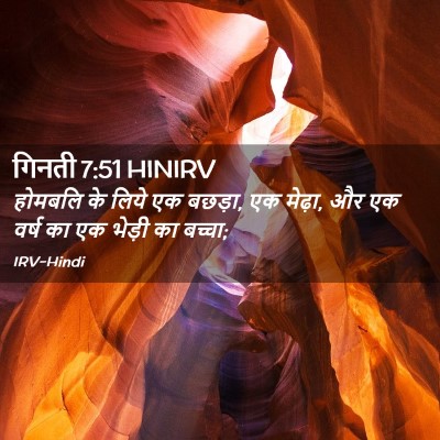 Picture 02 - गिनती 7:51 HINIRV - होमबलि के लिये एक - Bible Verse Picture