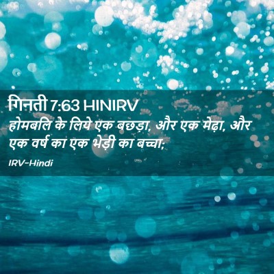 Picture 02 - गिनती 7:63 HINIRV - होमबलि के लिये एक - Bible Verse Picture