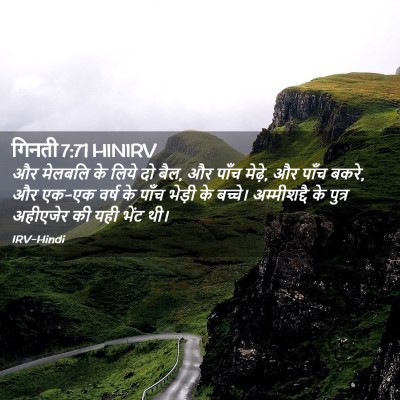 Picture 02 - गिनती 7:71 HINIRV - और मेलबलि के लिये - Bible Verse Picture