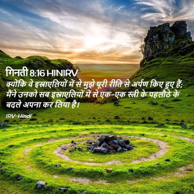 Picture 02 - गिनती 8:16 HINIRV - क्योंकि वे - Bible Verse Picture