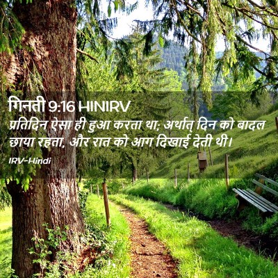 Picture 02 - गिनती 9:16 HINIRV - प्रतिदिन ऐसा ही - Bible Verse Picture