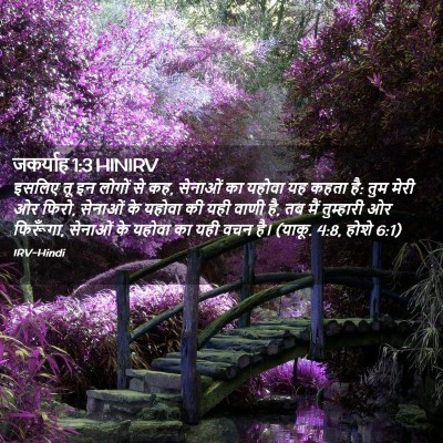 Picture 02 - जकर्याह 1:3 HINIRV - इसलिए तू इन लोगों - Bible Verse Picture